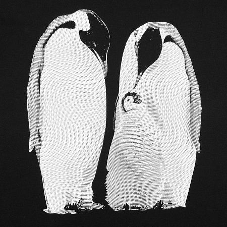 Футболка женская Like a Penguin, черная, размер S