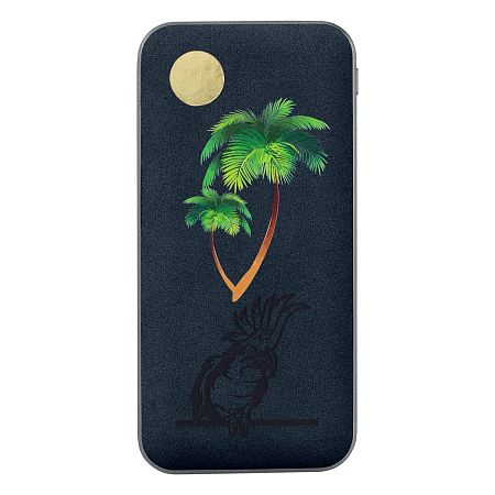 Внешний аккумулятор Ин Велюр (In Velour) 10000 mAh, серый