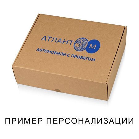 Набор подарочный Solution Duo (плед, термокружка), красный