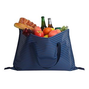 Cумка-трансформер Picnic Bag