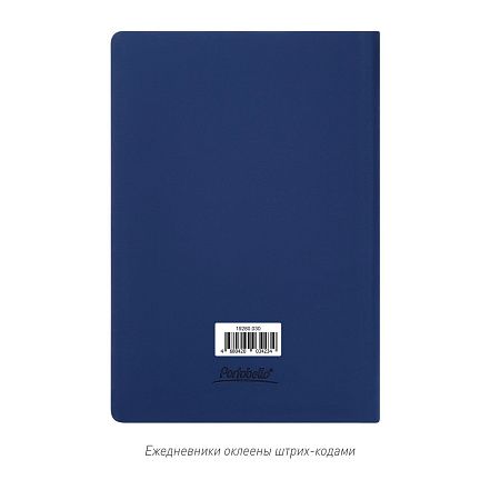 Ежедневник Спарк (Spark) недатированный, серый (без упаковки, без стикера)