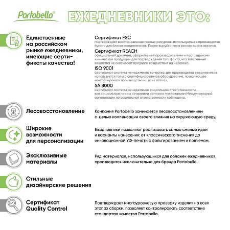 Ежедневник Спарк (Spark) недатированный, серый (без упаковки, без стикера)
